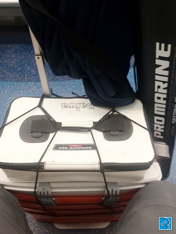 2017-02-05 11.09.43-1.jpg