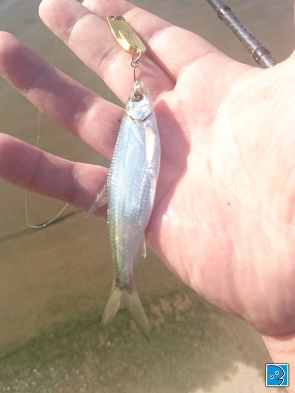 2016-11-27 15.07.45.jpg