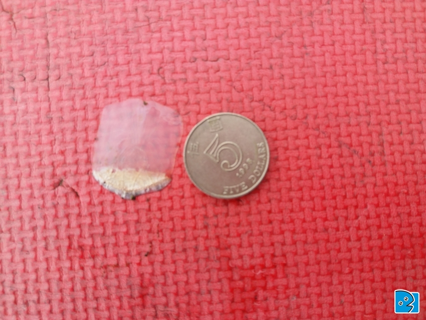20170325_133729.jpg