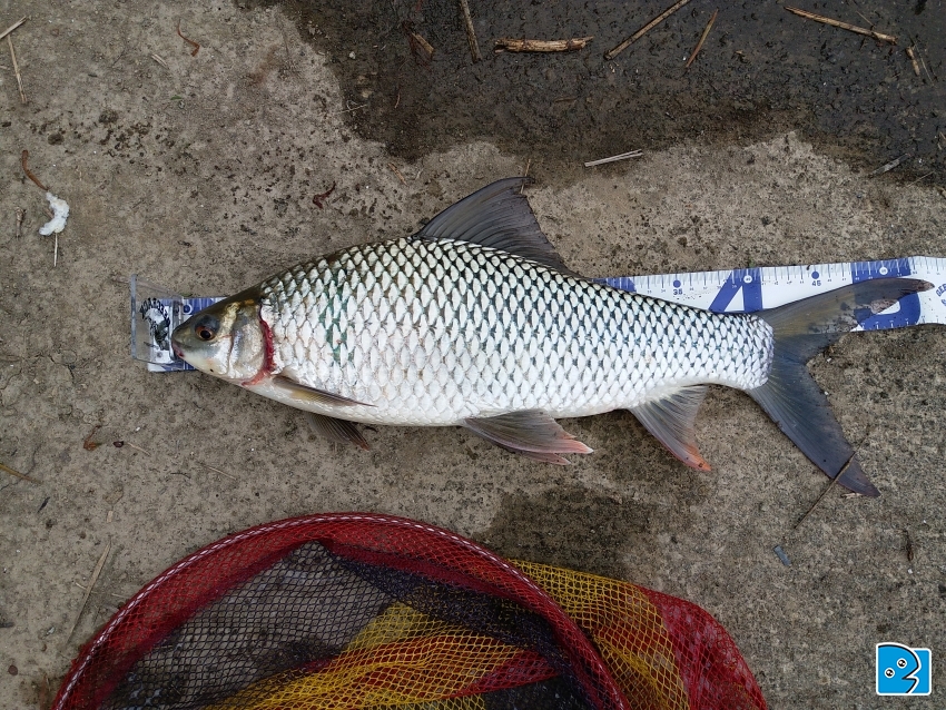 20170325_134607.jpg