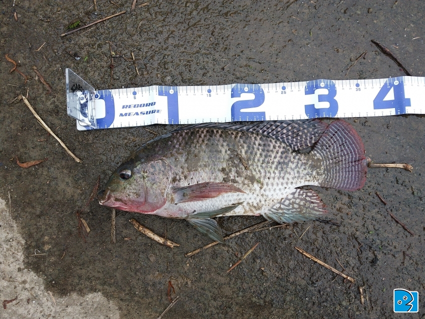 20170325_140817.jpg