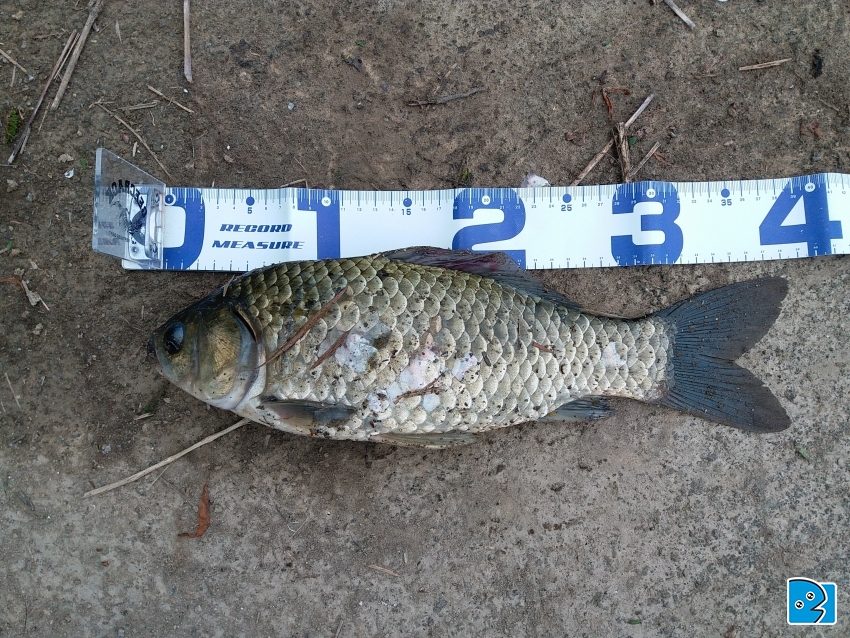 20170325_164739.jpg