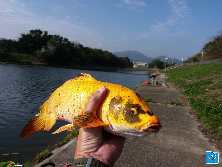 20170401_085103.jpg
