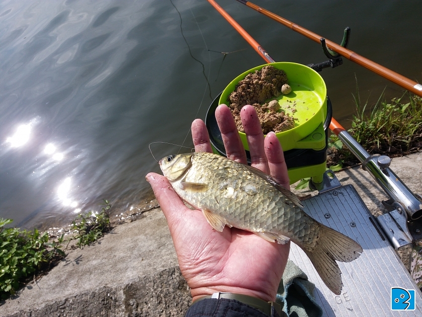 20170401_091608.jpg