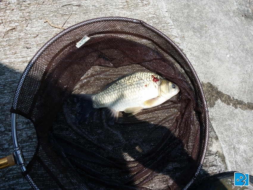 20170417_123549.jpg