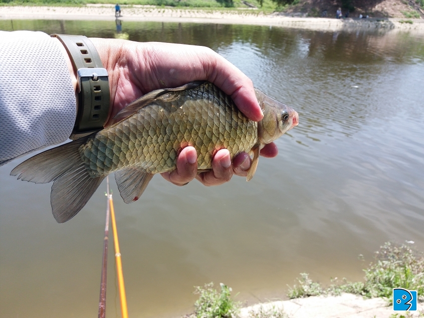 20170417_123820.jpg