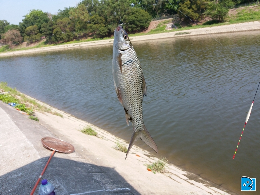 20170417_153332.jpg