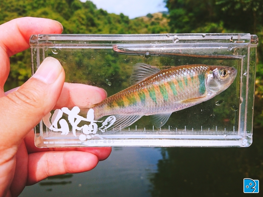 2017-05-01 16.28.23.jpg