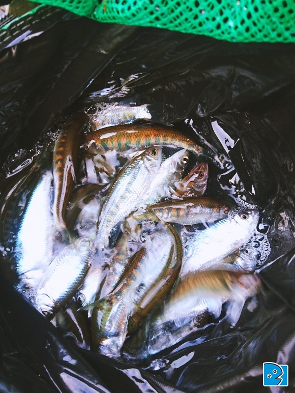 2017-05-01 16.37.02.jpg