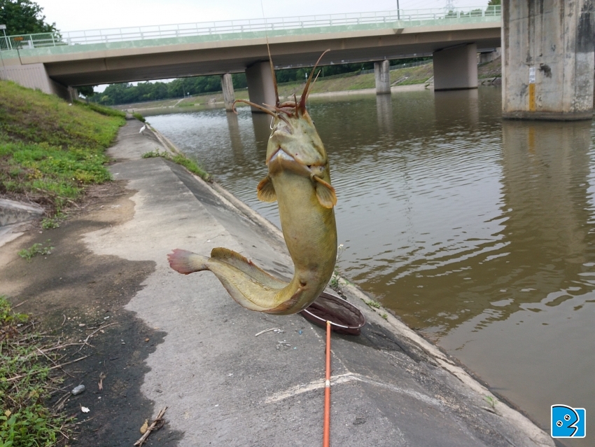 20170423_103326.jpg
