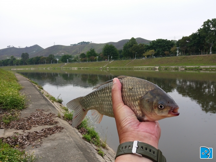 20170423_141630.jpg