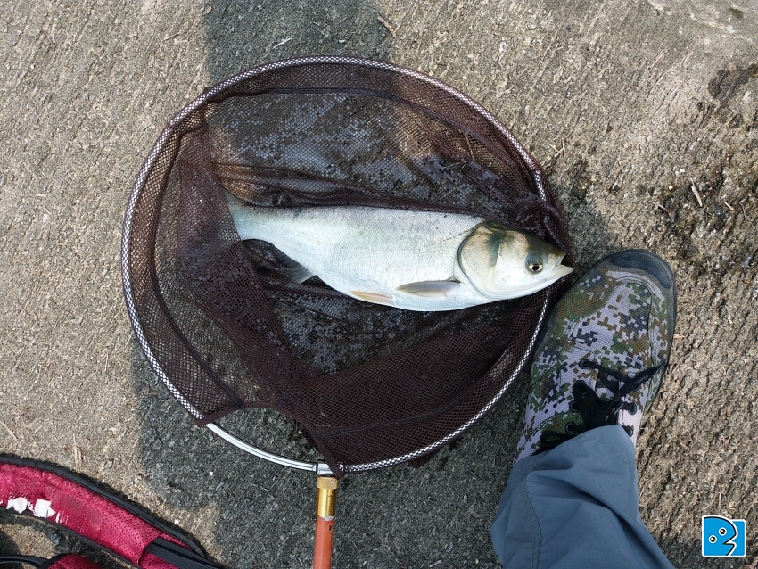 20170429_131955.jpg