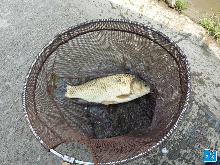 20170501_141111.jpg