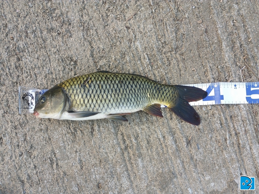 20170503_165621.jpg
