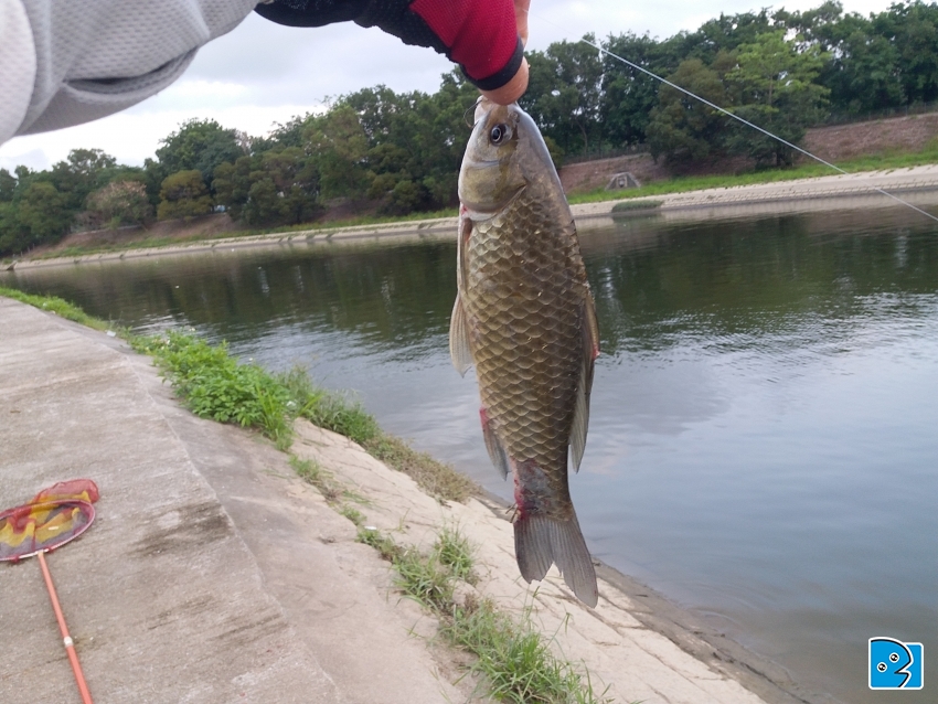 20170503_171745.jpg