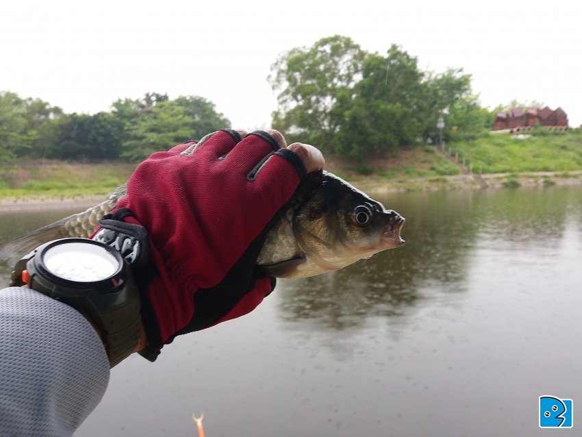 20170513_101755.jpg