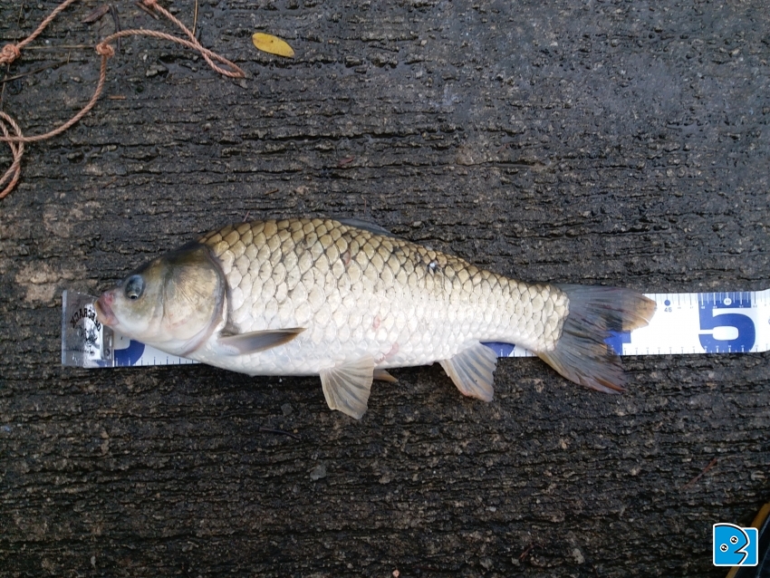 20170513_163043.jpg
