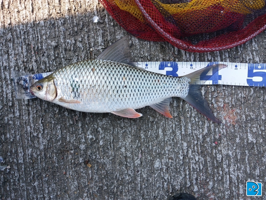 20170527_150539.jpg