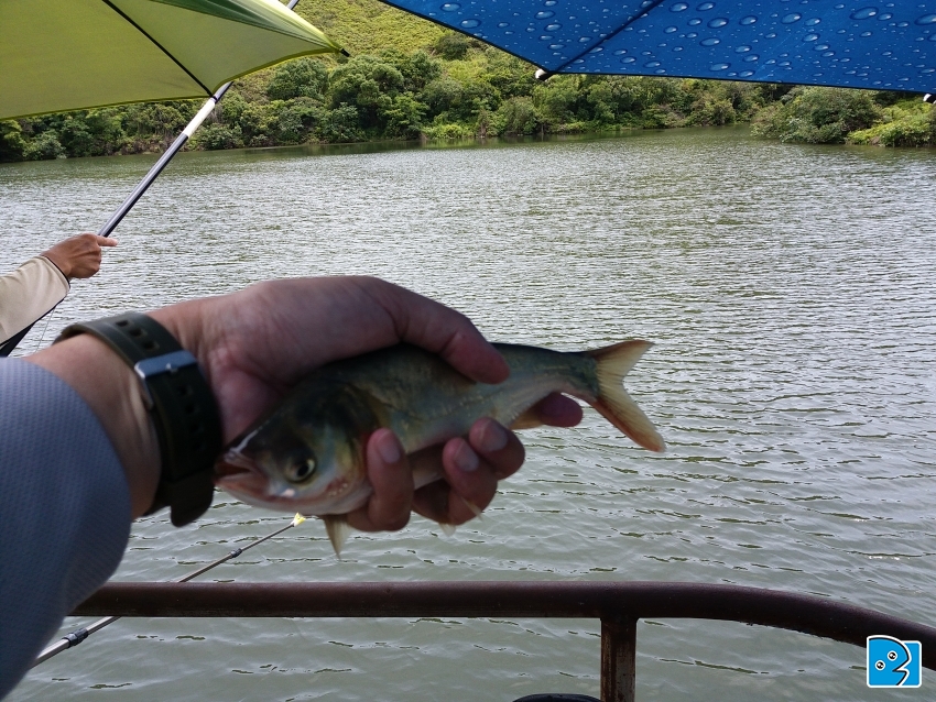 20170701_133504.jpg