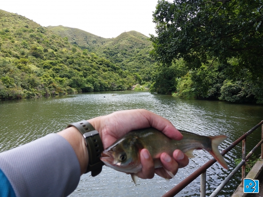 20170701_133513.jpg