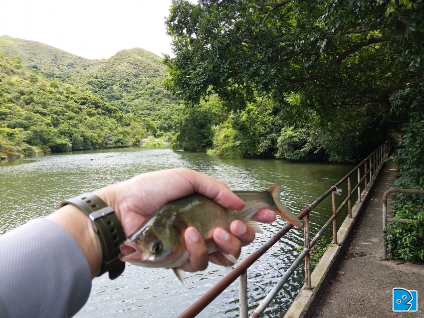 20170701_133519.jpg