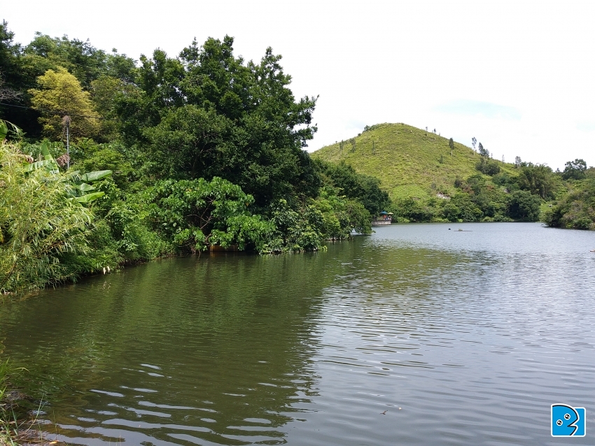 20170701_142256.jpg