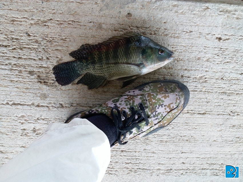20170730_115128.jpg