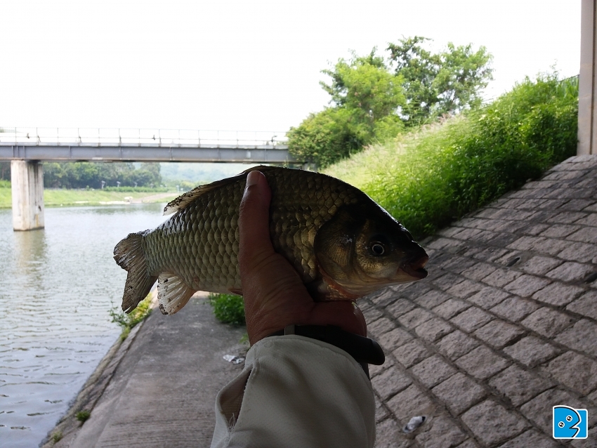 20170730_132219.jpg