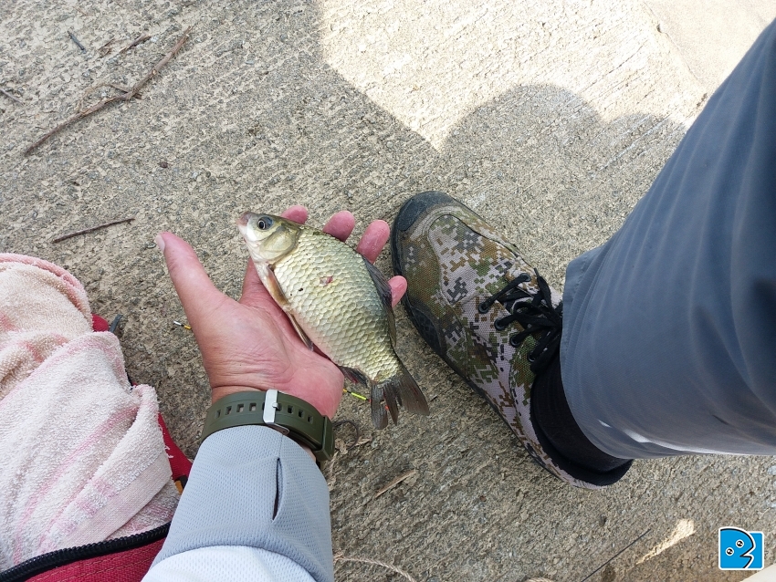 20171007_142932.jpg