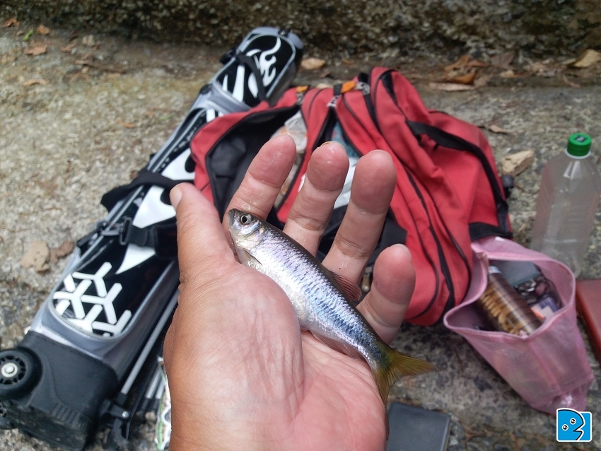 20171111_141526.jpg