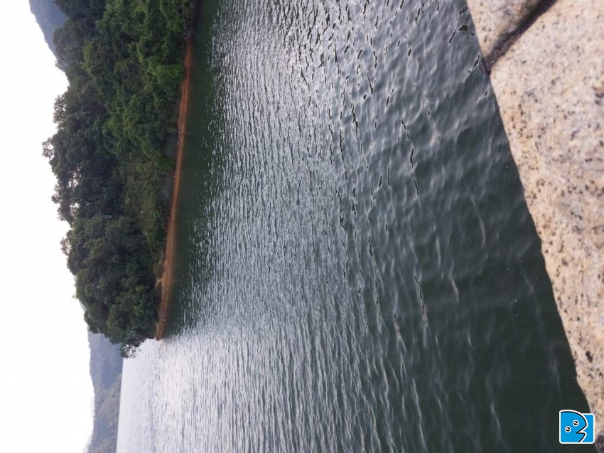 20171103_073325.jpg
