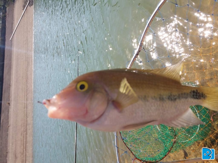 20180112_114647.jpg