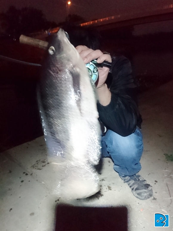 2018-01-27 18.40.41.jpg