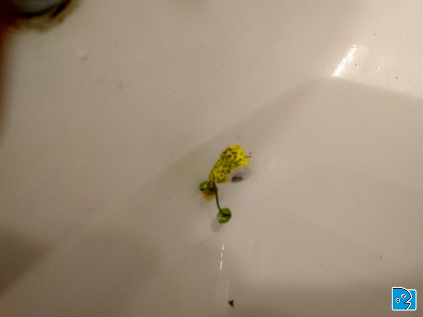 2018-01-05 07.23.24-1.jpg