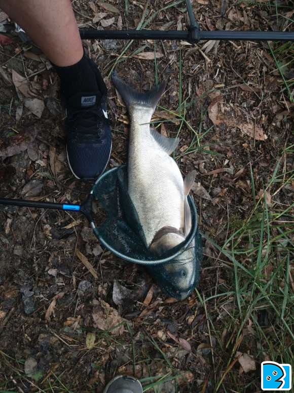 20180925_105807.jpg