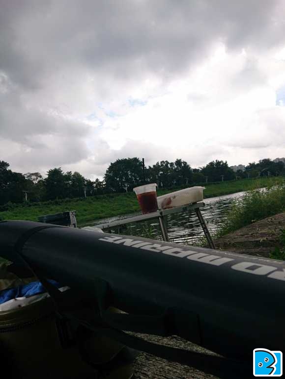 C360_2019-06-02-13-16-57-356.jpg