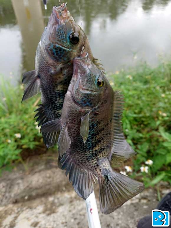 C360_2019-06-02-13-16-57-356.jpg