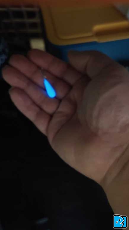 20230402_154918.JPG