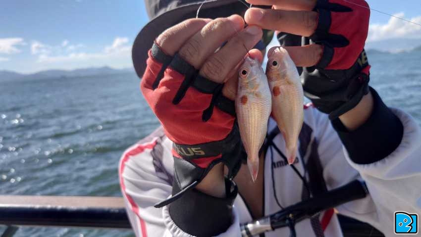 20230708_162530.JPG