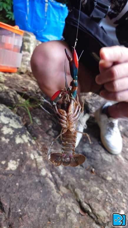 20230803_183325.JPG