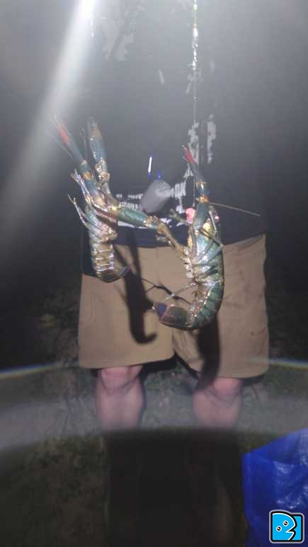 20230803_212225.JPG