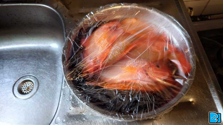 20230924_111729.JPG