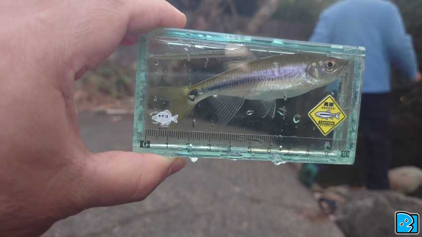 20231223_165911.JPG