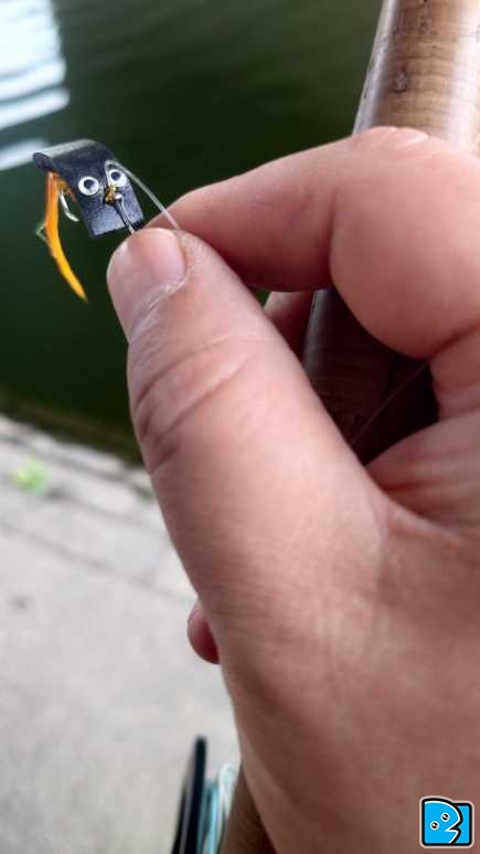 1000062970.jpg