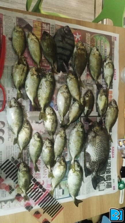 IMG-20250330-WA0073.jpeg