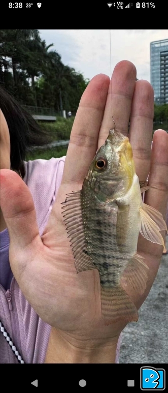 1000085120.png
