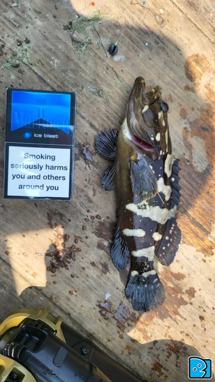 1000133356.jpg