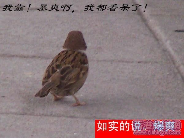 260.JPG