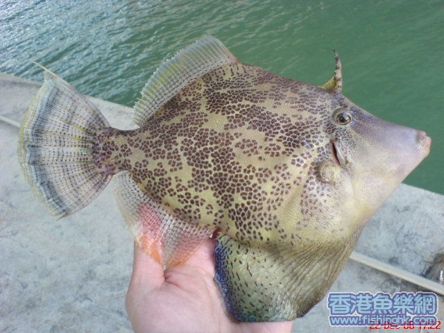 DSC05086.JPG