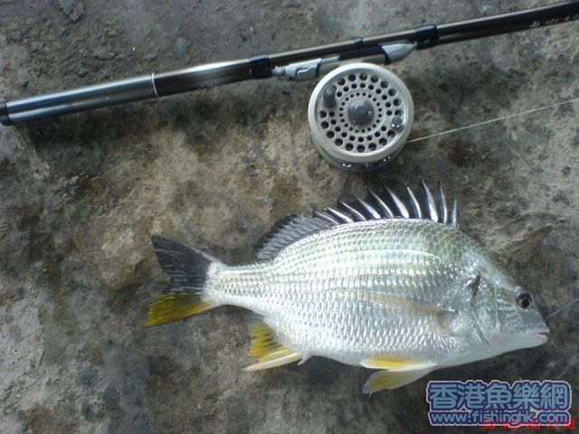 DSC04756.JPG